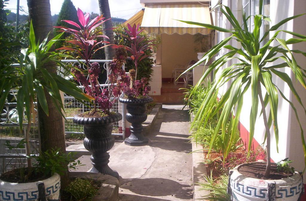 Villa Acajou Sur Mer Port Mathurin Ngoại thất bức ảnh